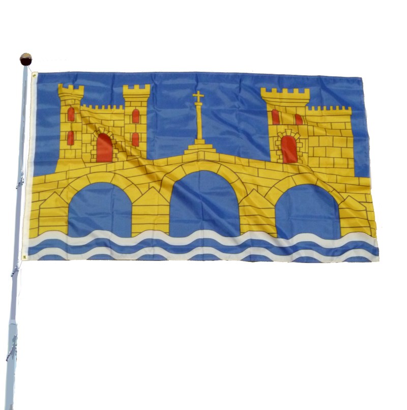 Pontevedra County Flag