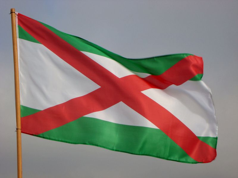 County Eo-Navia Flag