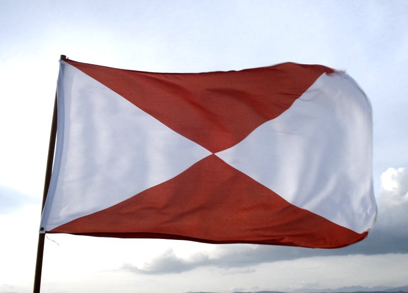 County Vigo Flag