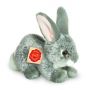 Galician Rabbit Plush Toy